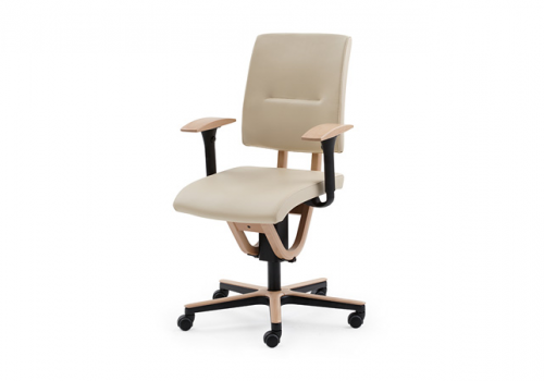 Moizi Bewegungsstühle 21